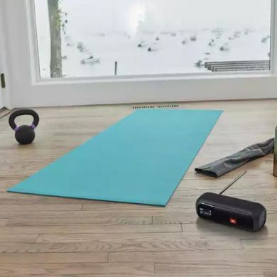 Портативна колонка JBL Tuner 2 FM Black (JBLTUNER2BLK)