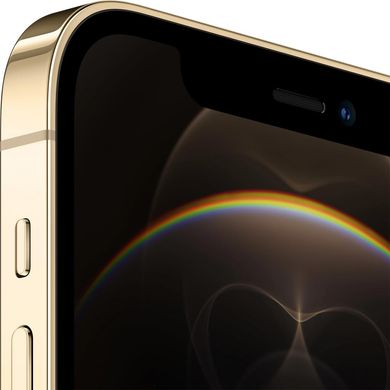 Apple iPhone 12 Pro 256Gb Gold (MGMR3)