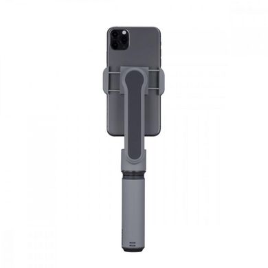 Стедикам Zhiyun Smooth X Essential Combo Grey (C030021EUR)