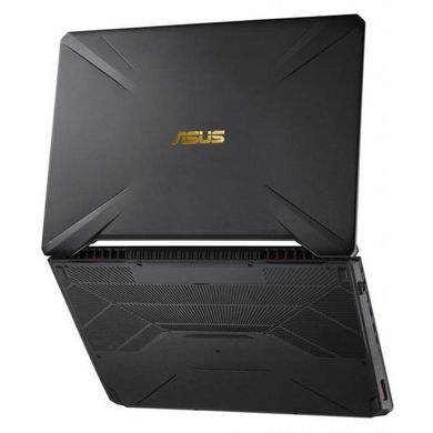 Ноутбук ASUS FX505GM (FX505GM-ES040T)