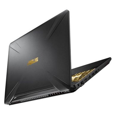 Ноутбук ASUS FX505GM (FX505GM-ES040T)